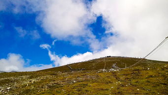 手机摄影 从个人爱好到专业服务的转变